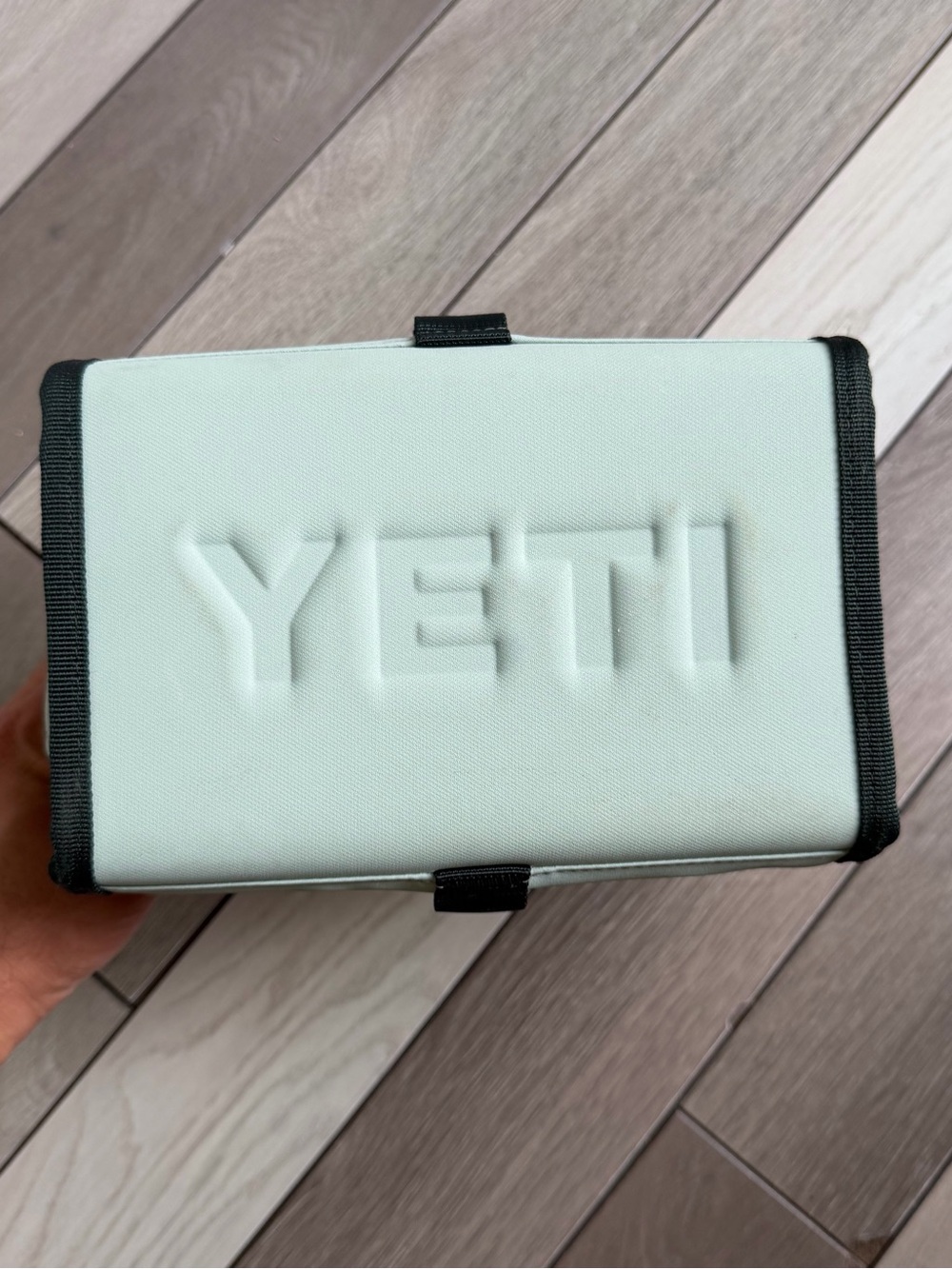 YETI Daytrip Lunch Bag in a retired light green shade - Picture 4 of 7